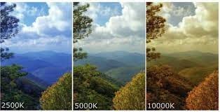 FocusFlowPro - Image 3